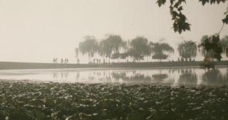 [Reflections of people through the mist]