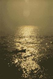 [Man and boat in a sea of light]